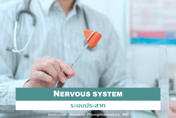 Screenshot 2569-01-23 at 21.27.15