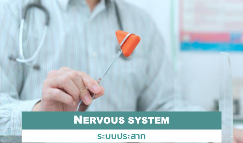 Screenshot 2569-01-23 at 21.27.15